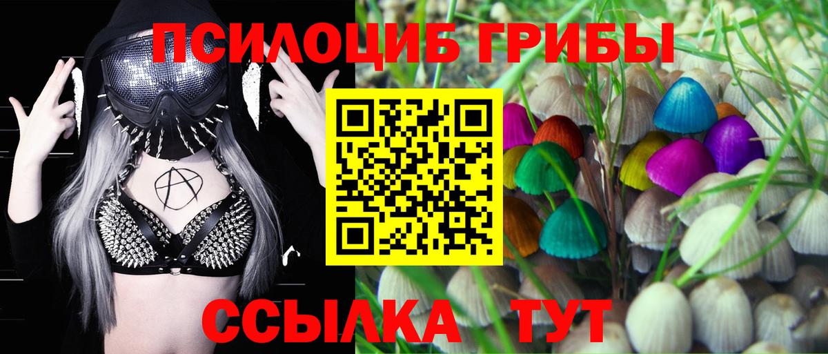 Галлюциногенные грибы Cubensis Назрань